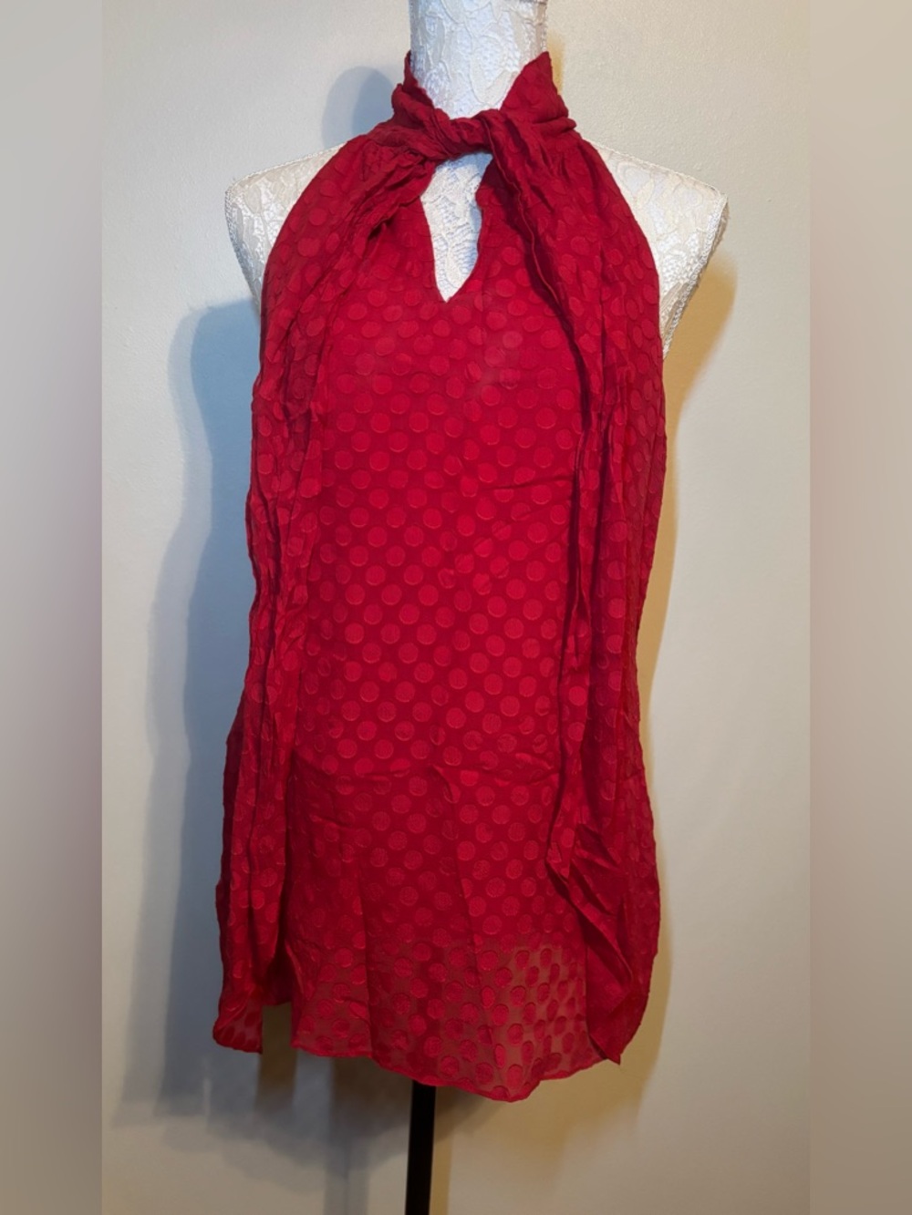 Arden B Red Polka Dot Halter Neck Top